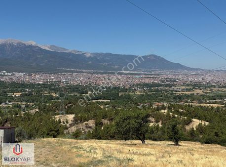 Karakurt'da 6900m2 Harika Yatırım Fırsatı Açıklamayı Okuyun