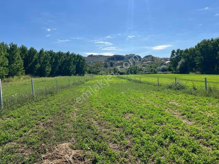 Akçakoca Nazımbey Köyünde 2.232 M2 “resmi Yola Cepheli” İmar Sınırında Satılık Müstakil Tarla