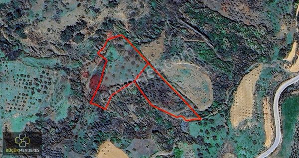 Küçük Menderes'ten Ödemiş Kerpiçli Mh Satılık Meyve Bahçesi