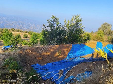 Küçük Menderes'ten Kiraz'da Satılık Kestane-ceviz-kiraz Bahçesi