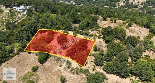 Güneyköy'de Yatırım Fırsatı, Resmi Yola Cephe 2912 M² Tarla