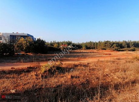 Satılık Döşemealtı Yalınlı'da Ormana Cephe Fırsat Arsa....