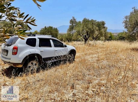 11.000 M2 Tek Tapu Tarla, Halıtlı Ya 1 Km, Asfalta 700 Mt