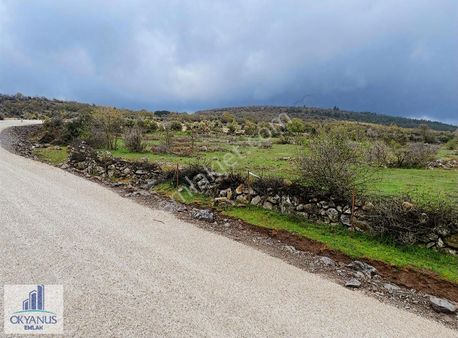 Recepli De 20.000 M2 Tarla , Asfalt Kenarı