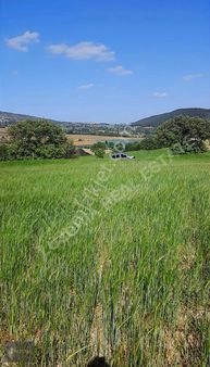 Bolu Göynük Te 9.111m2 Kelepir Tarla