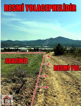 Bilecik Söğüt Tuzaklı Köyünde Satılık Tarla