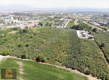 Öğremen'den Darıcı Mahallesin'de 1754m2 Villa İmarlı Arsa