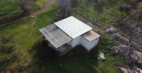 Çine Bahçearası Köyü İçinde 10.728 M2 İçerisinde 1+0 Ev Bulunan Tarla