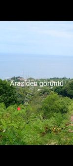 Perşembe Caytepe Satılık İmarlı Bahçe.
