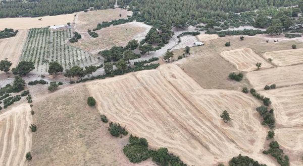 Çiftlik Yapılabilir Yakınında Evler Var Yolu Var Satılık Tarla