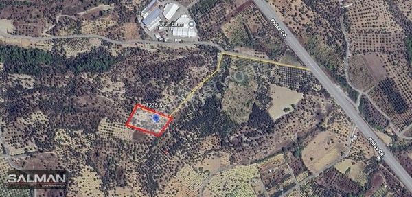 Salman'dan Kemalpaşa Vişneli'de Satılk Yatırmlık Zeytinlik Tarla