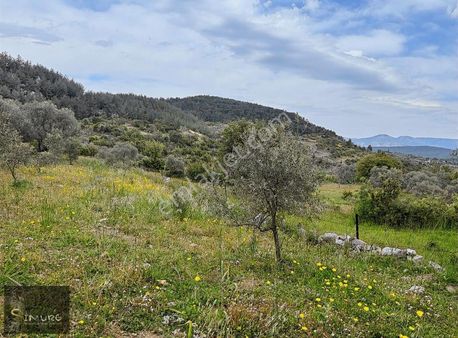 Mumcular Söğütçük Satılık Tarla
