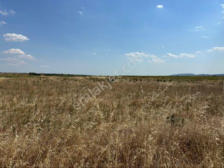 Meriç Umurca’da 3.726m2,tek Tapu,satılık Tarla