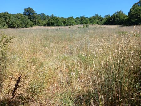 Acilll!!!!balıkesir/balya/orhanlar Mah.satılık Tarla