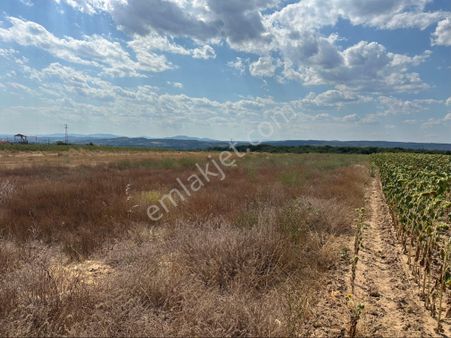 Meriç Umurca’da 3.817m2,ormana Cepheli,tek Tapu,satılık Tarla
