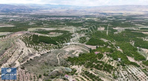 Turyap Metropolden Balaban Da 5.400m2 Satılık Bahçe