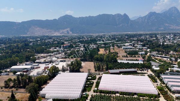 Konyaaltı Çakırlar Kuruçay'da İmar Planı İçerisinde 3791m²satılık Tarla