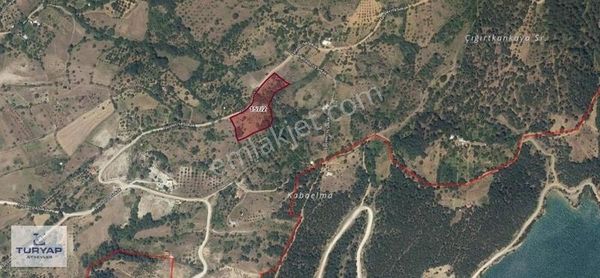 Bursa Keles Epçeler ``de Satılık 6477m2 Tek Tapu Arazi