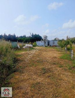 Çatalca Çanakca Merkeze Yürüme Mesafesinde, Elektrik, Su Var.