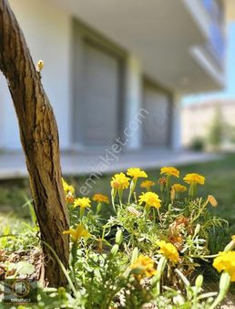 1️. Yapı'dan Albayrak Panaroma Mevki Satılık Villa