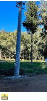 Muğla Ortaca Dereköyde.asvalta Sıfır.5070.metrekare