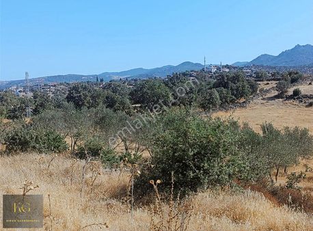 Manisa Yunısemre Davutlar Köyünde Satılık 7.5 Dönüm Tarla