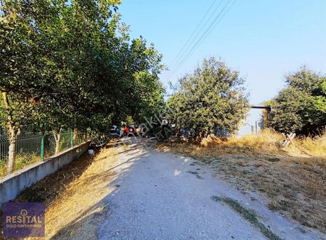 Kumsaz Yazlık Bölgesinde Satılık 169 M2 Arsa