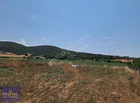 Bursa Yenişehir Fethiye Köyünde Satılık Tarla