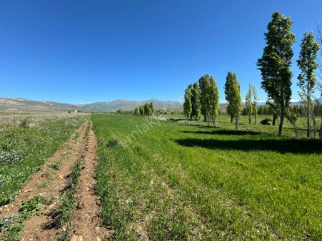 Bayburt Yakudiye'de Satılık Arazi