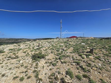 Erdemli Sogun (hacıalanı) Mah'.'de Satılık Limön Deposu Ve Tarla