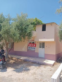 Erdemli Tabiye Mah.. "de Satılık Müstakil Ev Ve Limon Bahçesi