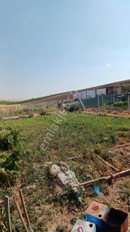 Ayaş Göklerde Hobi Bahçesi Fırsat