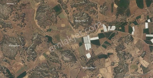 Kozağaç Boyalı Mevkisinde 2541m2 Tarla