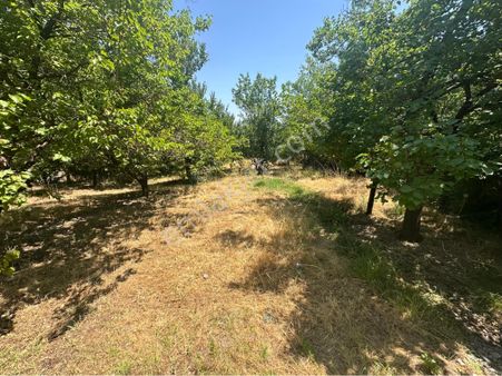 Furkan Doğan’dan Kale Bent’de Toki Yakının’da 3.900m2 Satılık Tarla