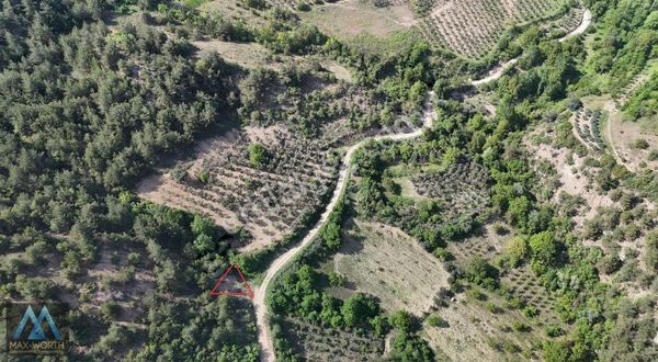 Sakarya Geyve Günhoşlar Müstakil Parsel