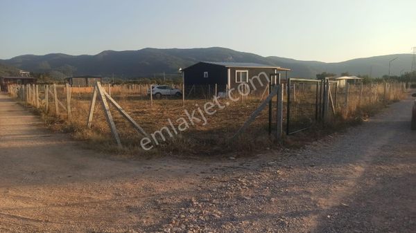 Değirmendere Köyünde; Net 220 M2/ Elektrik-suyu Aktif /köşe Başı /satılık Bahçe