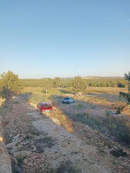 Erdemli Güzeloluk (karatesbih) Mah'de Satılık Ceviz Bahçesi