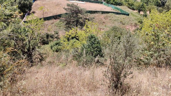 Hızır Gündoğdu'dan Gözde Yatırım Bölgesinde Fırsat Arsa Acil !!!