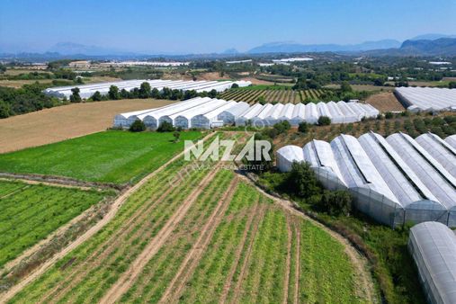 Manavgat Yavrudoğan'da 6.865 M² Satılık Tarla