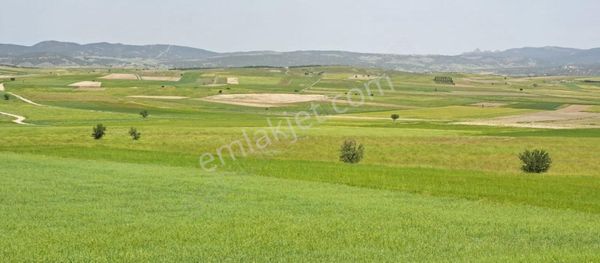 Uygun Fiyata Düz Tarla