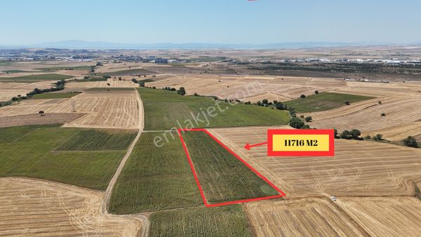 Çalışkanlar Group Gyo'dan Kayacık'ta Satılık 11716 M2 Tarla