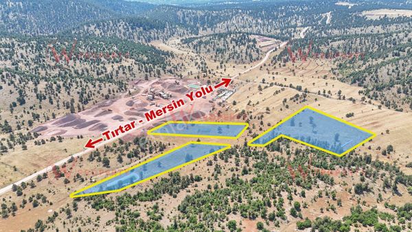 W Property Tırtar Mahallesinde Yatırımlık Ve Hazır Dikili Tarla