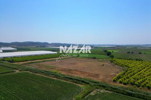 Manavgat Bereket'te 16.804 M² Satılık Tarla