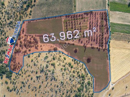 Dikili | 64dönüm Satılık Tarla Sera Bölgesine2,5km, 109m