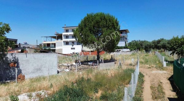 Kemalpaşa Yiğitlerde 247.27m2 İçinde Kiraz Ağaçları