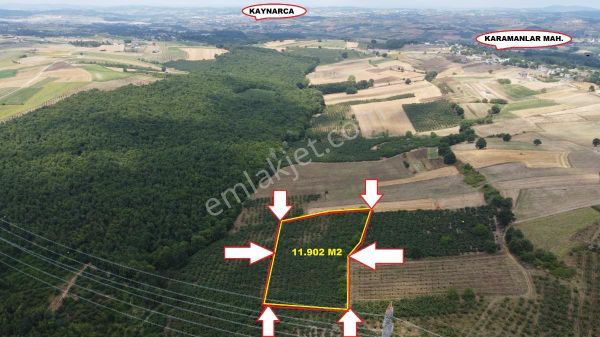 Sakarya Kaynarca Karamanlarda 11902 M2 Satılık Fındık Bahçesi