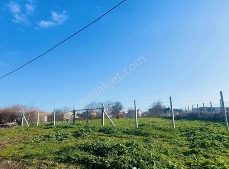 Alipaşada Mahallenin Bitişinde Etrafı Telle Çevrili 390m2