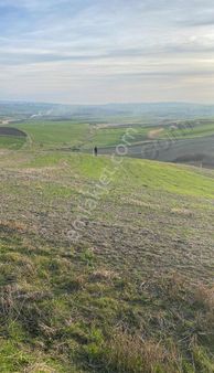 Silivri Büyüksinekli De Satılık 2 Adet 265 M2 Parsel