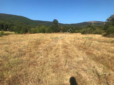 Asfalt Yola Cephe 7.689 M2 !!balıkesir Susurluk Yaylaçayır Köyünde Suyu Olan Tarla