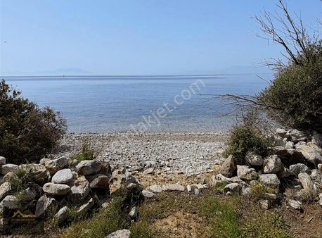 Bodrum Mazı Da Denize Sıfır 6.096 M² Zeytinlik Tarla